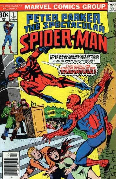 THE SPECTACULAR SPIDER-MAN